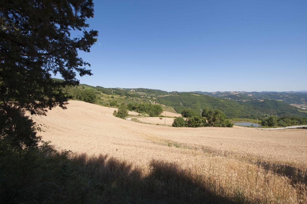 Agriturismo Tenuta Di Biscina Eksteriør billede